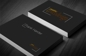 Business Card Creative Webdesign